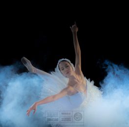 d2d6022674a438ec149d58bf7a826f0c4a074f05